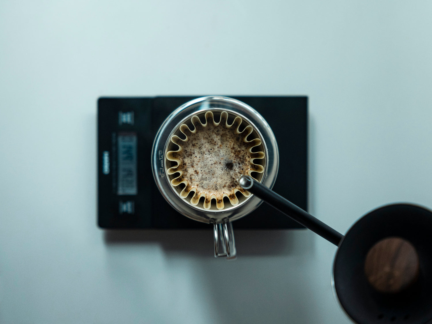 How to brew with Kalita Wave by kurasu-jp.pro 2023