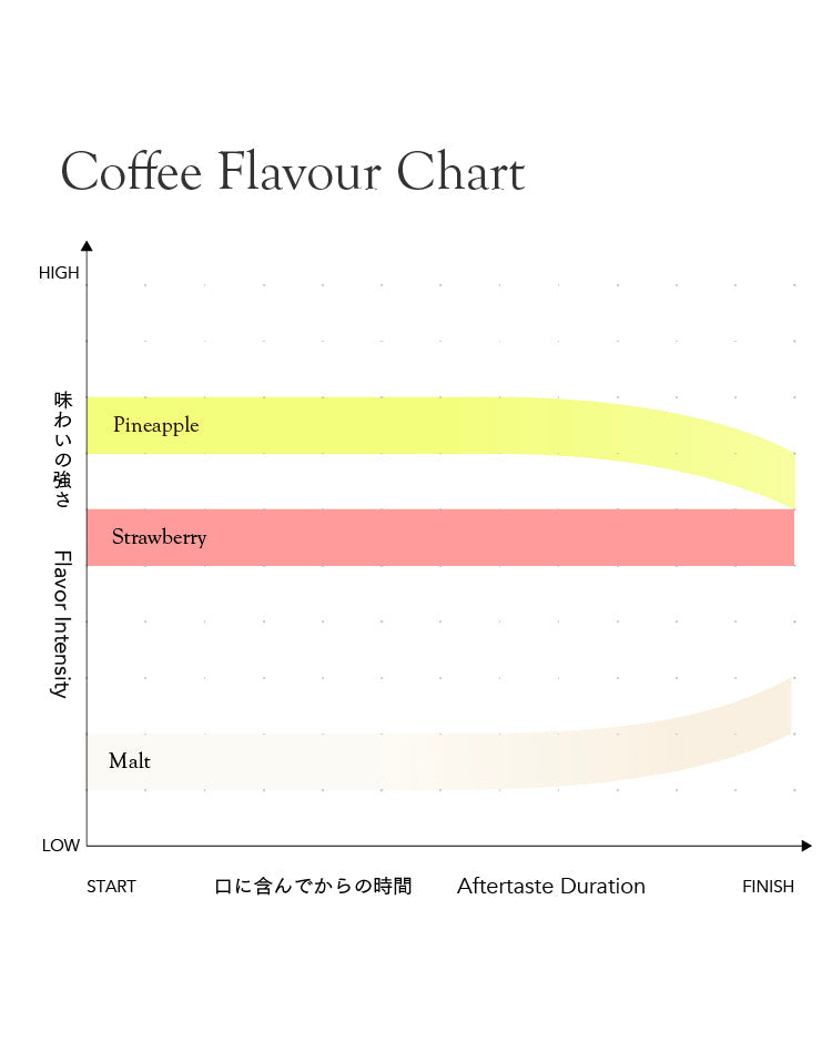 [Premium]Colombia Oscar Hernandez Bourbon Pimienta[Light roast]