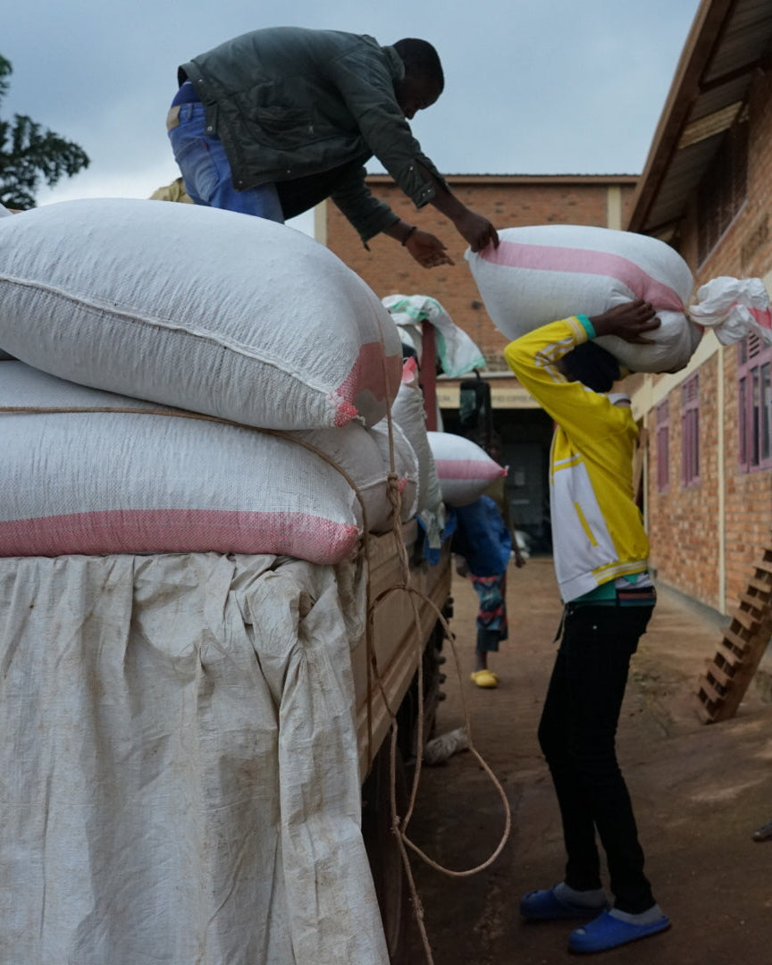 Rwanda Mbilima Soil Project Lot.0704[Light roast]