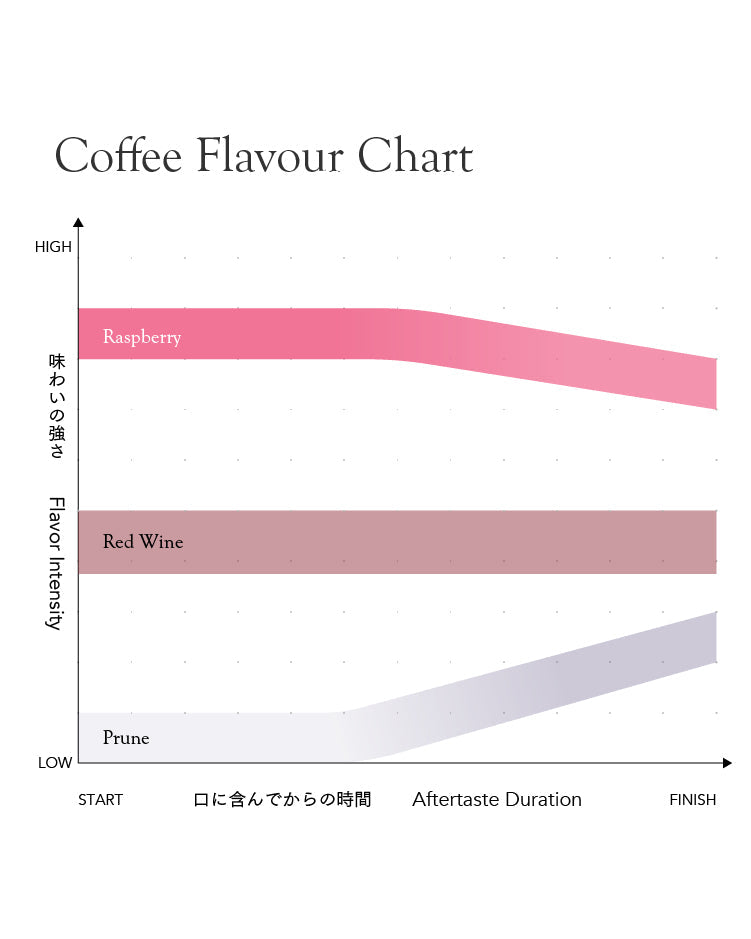 El Salvador Don Jaime[Medium-light roast]