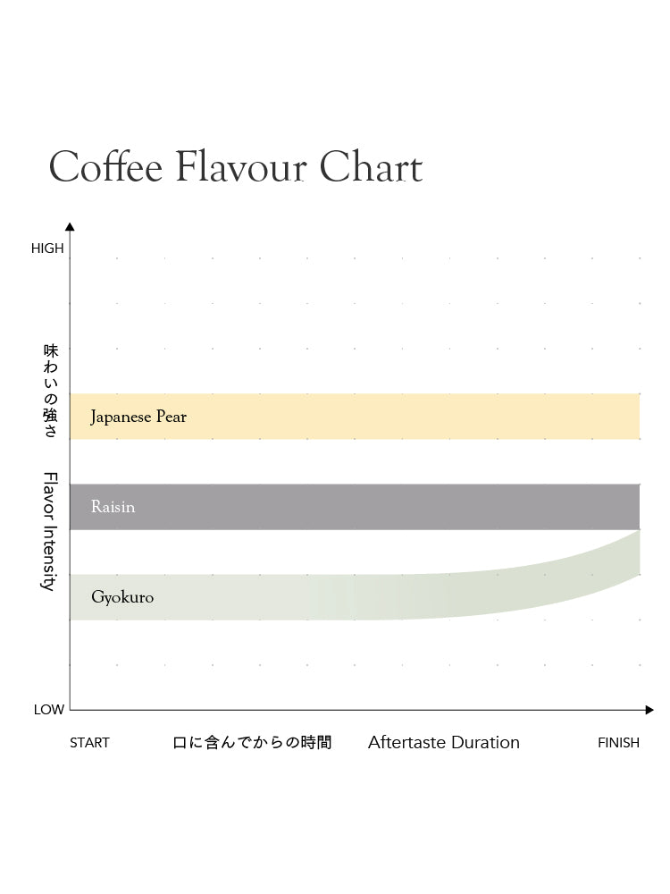 El Salvador Emerson Vasquez Pacamara [Light Roast]