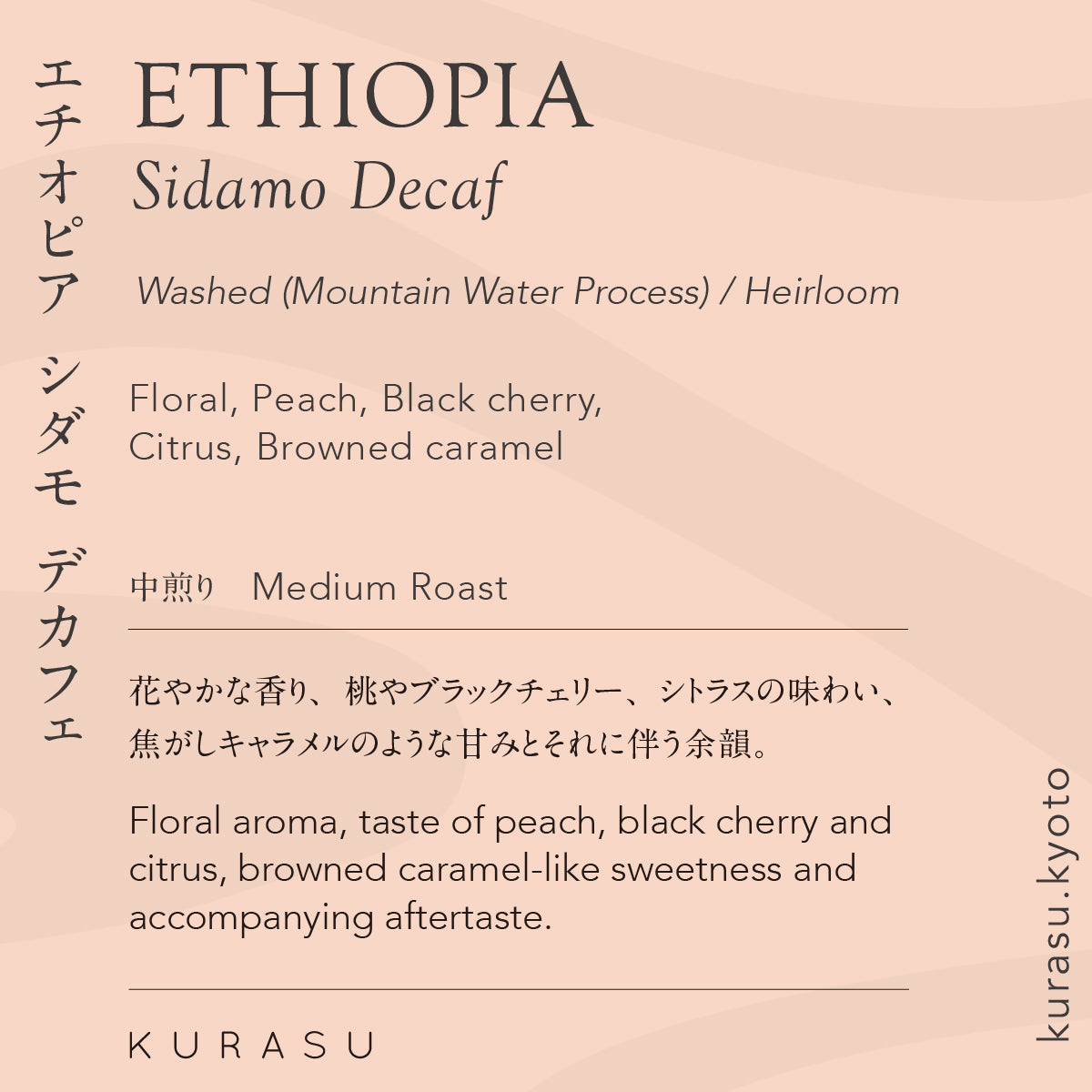 Cold Brew Ethiopia Sidamo Decaf [Medium]