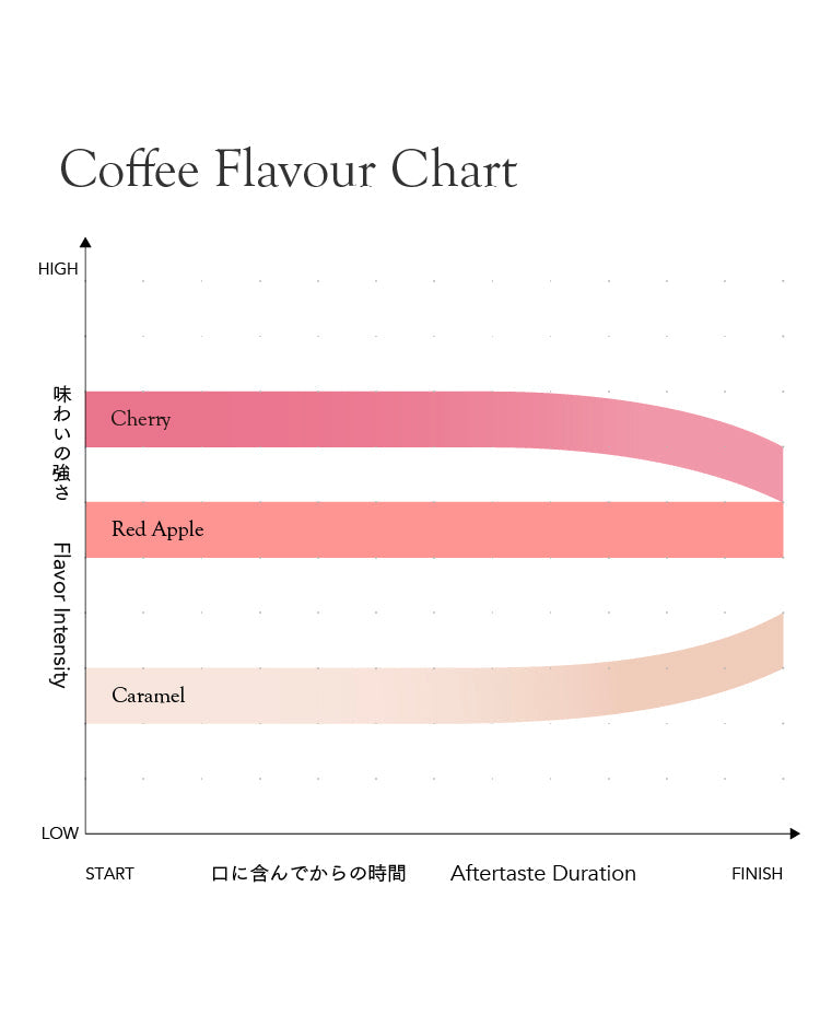 Fairfield Medium [Medium Roast]
