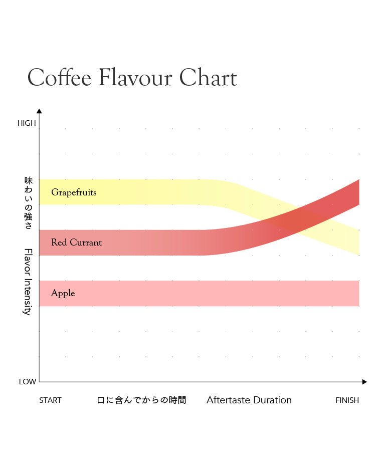 Kenya Gatomboya AB [Light roast]
