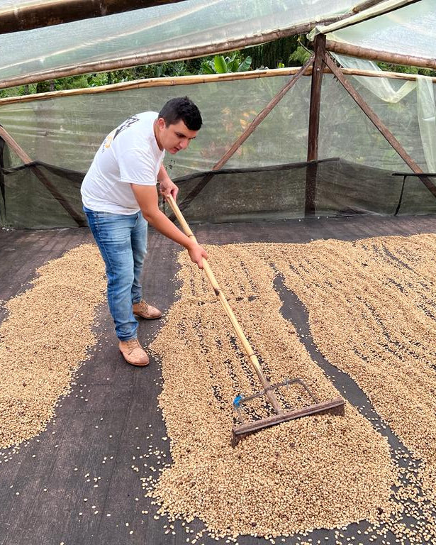 Colombia Nestor Lasso[Medium-light roast]
