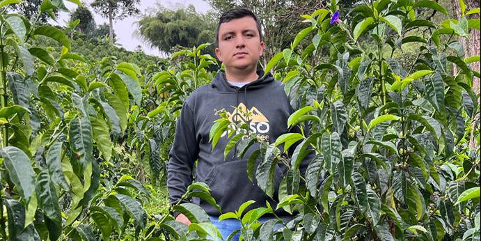 Colombia Nestor Lasso[Medium-light roast]