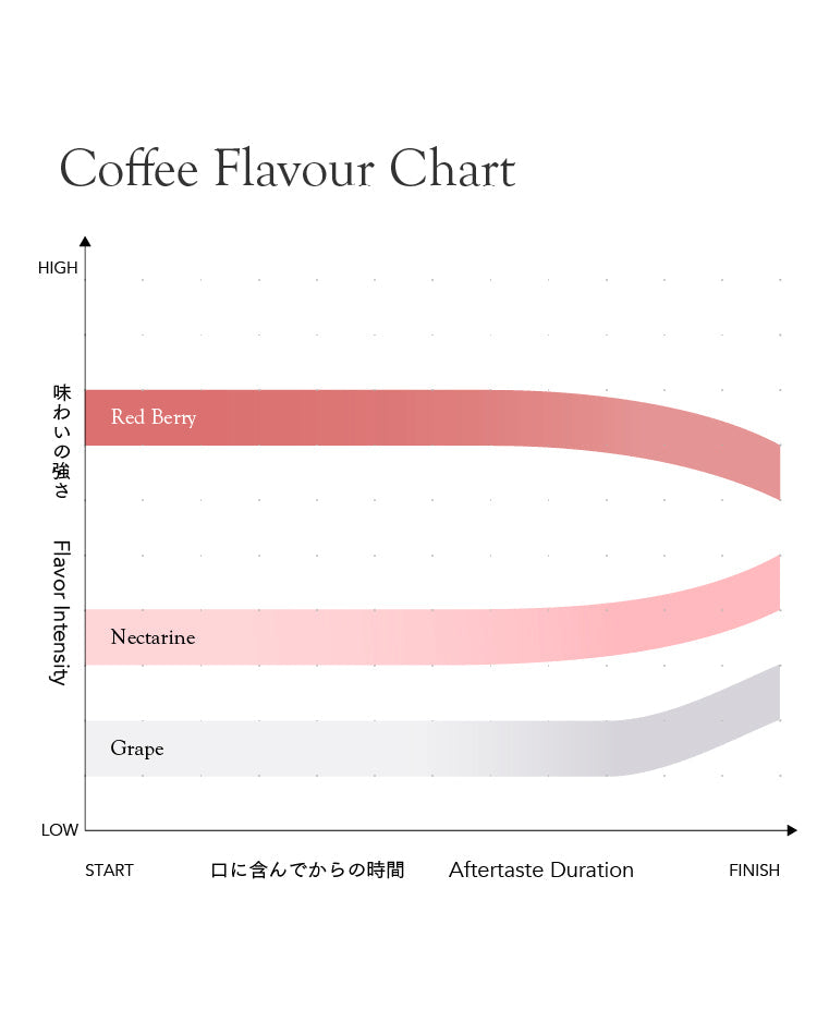 Seasonal Blend Natsu Ake 2026 [Medium roast]