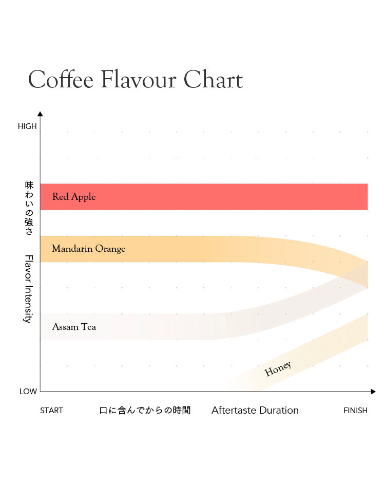 Rwanda Mbilima Soil Project Lot.0704[Light roast]